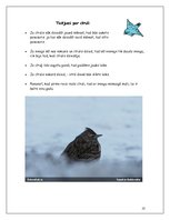 Referāts 'Cīrulis', 10.