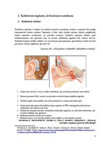 Referāts 'Nedzirdīgie. Speciālā pedagoģija', 9.