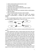 Referāts 'Mācību procesa organizēšana jaunajā un vecajā izglītības paradigmā', 2.