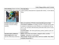 Prakses atskaite 'Pirmsskolas skolotāja agrīnās bērnības pedagoģiskā prakse', 11.