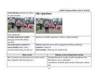 Prakses atskaite 'Pirmsskolas skolotāja agrīnās bērnības pedagoģiskā prakse', 14.