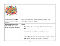 Prakses atskaite 'Pirmsskolas skolotāja agrīnās bērnības pedagoģiskā prakse', 17.