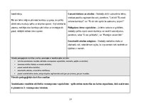 Prakses atskaite 'Pirmsskolas skolotāja agrīnās bērnības pedagoģiskā prakse', 19.