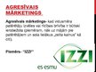 Prezentācija 'Mārketinga veidi', 7.