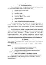 Referāts 'Vispārīgās pedagoģijas priekšmets, tā kategorijas', 11.