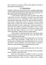 Referāts 'Vispārīgās pedagoģijas priekšmets, tā kategorijas', 13.