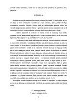 Referāts 'Neverbālā komunikācija', 6.