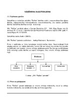 Biznesa plāns 'Uzņēmums "Taifūns"', 4.