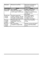 Biznesa plāns 'Uzņēmums "Taifūns"', 6.