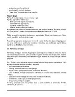 Biznesa plāns 'Uzņēmums "Taifūns"', 10.