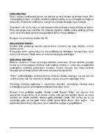 Biznesa plāns 'Uzņēmums "Taifūns"', 11.