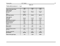 Biznesa plāns 'Uzņēmums "Taifūns"', 19.