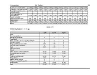 Biznesa plāns 'Uzņēmums "Taifūns"', 21.