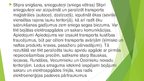 Prezentācija 'Novada civilās aizsardzības plāns', 13.