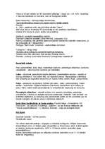 Konspekts 'Kultūra', 3.