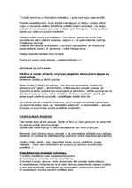 Konspekts 'Kultūra', 4.