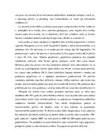 Eseja 'Kopējās politikas Eiropā. Kopējā lauksaimniecības politika', 3.