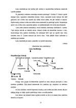 Diplomdarbs 'Sākumskolēnu priekšstatu īpatnības par sociālajām lomām, personības īpašībām un ', 17.