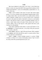 Referāts 'Konformisms', 3.