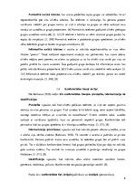 Referāts 'Konformisms', 6.