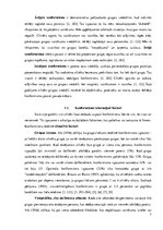 Referāts 'Konformisms', 7.