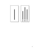 Referāts 'Konformisms', 14.