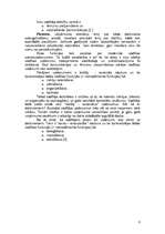 Referāts 'Uzņēmuma vadība', 8.