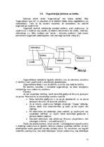 Referāts 'Uzņēmuma vadība', 15.