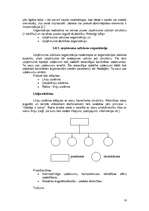 Referāts 'Uzņēmuma vadība', 16.