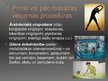Prezentācija 'Ārstnieciskās masāžas kombinēšana', 8.