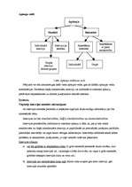 Konspekts 'Pētījuma metodes psiholoģijā', 5.