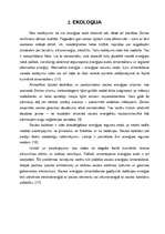 Diplomdarbs 'Saules kolektori TF energoapgādē', 16.