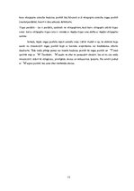 Referāts 'Kapitāla aktīvu novērtēšanas modelis', 13.