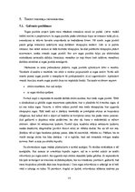 Referāts 'Kapitāla aktīvu novērtēšanas modelis', 14.