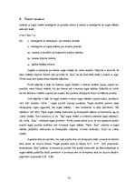 Referāts 'Kapitāla aktīvu novērtēšanas modelis', 24.