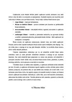 Referāts 'Uzņēmuma kultūra, ētiskais klimats uzņēmumā, tikumi', 5.