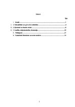 Referāts 'Seksualitātes un ķermeņa konstrukcijas M.Fuko darbu sērijā "Seksualitātes vēstur', 2.