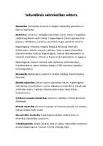 Referāts 'Dānija', 10.