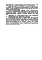 Konspekts 'Vladimirs Kincāns “Estētikas pamati”', 5.