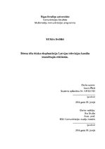Referāts 'Bērna tēla ētiska ekspluatācija Latvijas televīzijas kanālu translētajās reklāmā', 1.