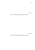 Referāts 'Bērna tēla ētiska ekspluatācija Latvijas televīzijas kanālu translētajās reklāmā', 29.