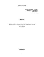 Referāts 'Ogres rajona kultūras pieminekļu kā tūrisma resursu novērtējums', 1.