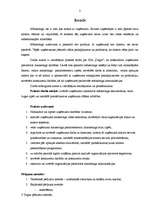 Prakses atskaite 'Prakses atskaite mārketingā', 1.