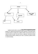 Prakses atskaite 'Prakses atskaite mārketingā', 4.