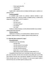 Prakses atskaite 'Prakses atskaite mārketingā', 6.