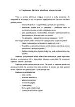 Prakses atskaite 'Prakses atskaite mārketingā', 9.