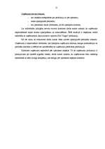 Prakses atskaite 'Prakses atskaite mārketingā', 10.