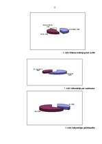 Prakses atskaite 'Prakses atskaite mārketingā', 13.