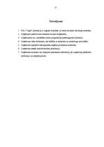 Prakses atskaite 'Prakses atskaite mārketingā', 19.