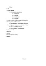 Referāts 'Pārtikas piedevas un uztura bagātinātāji', 1.